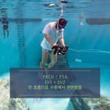 DiveYu