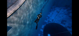 JustcuzDive